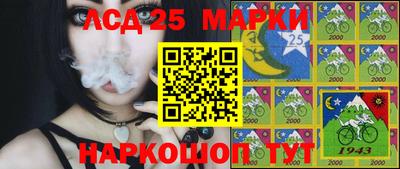 гидропоника Новодвинск