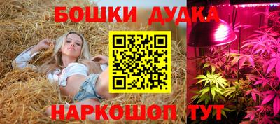 бошки Новокубанск